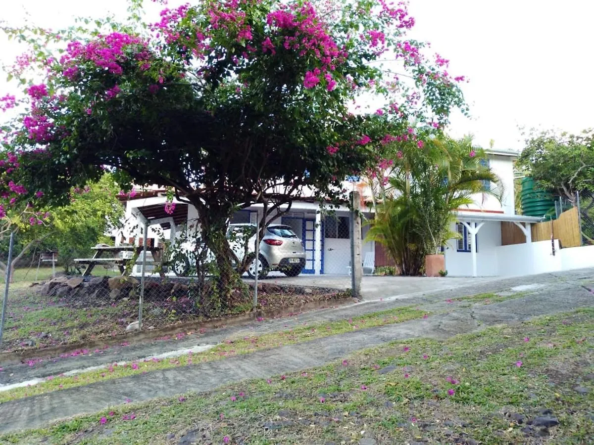 Appartement Cosy Le Marin 60 M² + Jardin